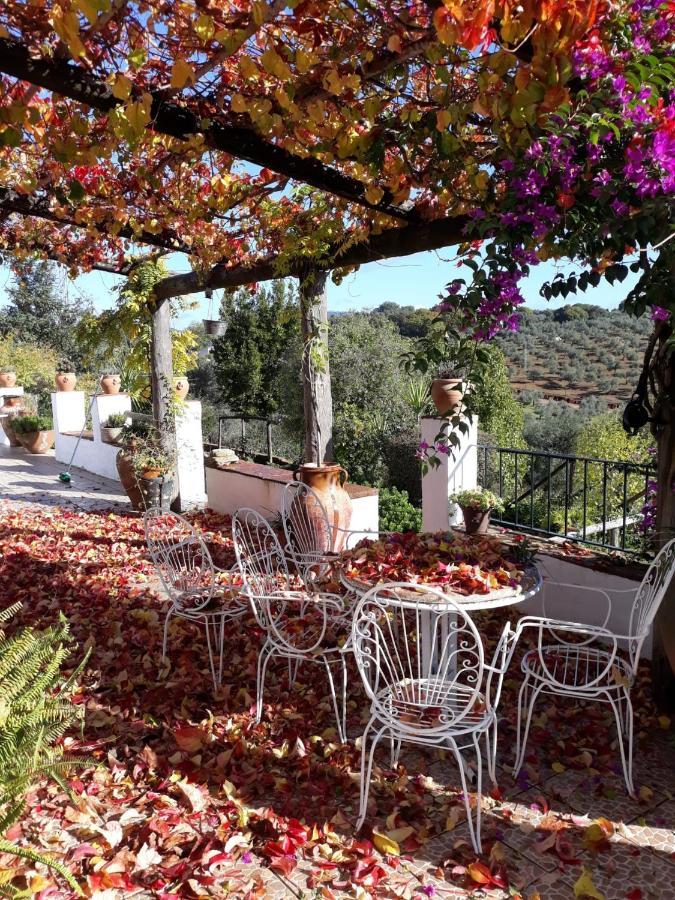 Villa Botero Constantina Dış mekan fotoğraf