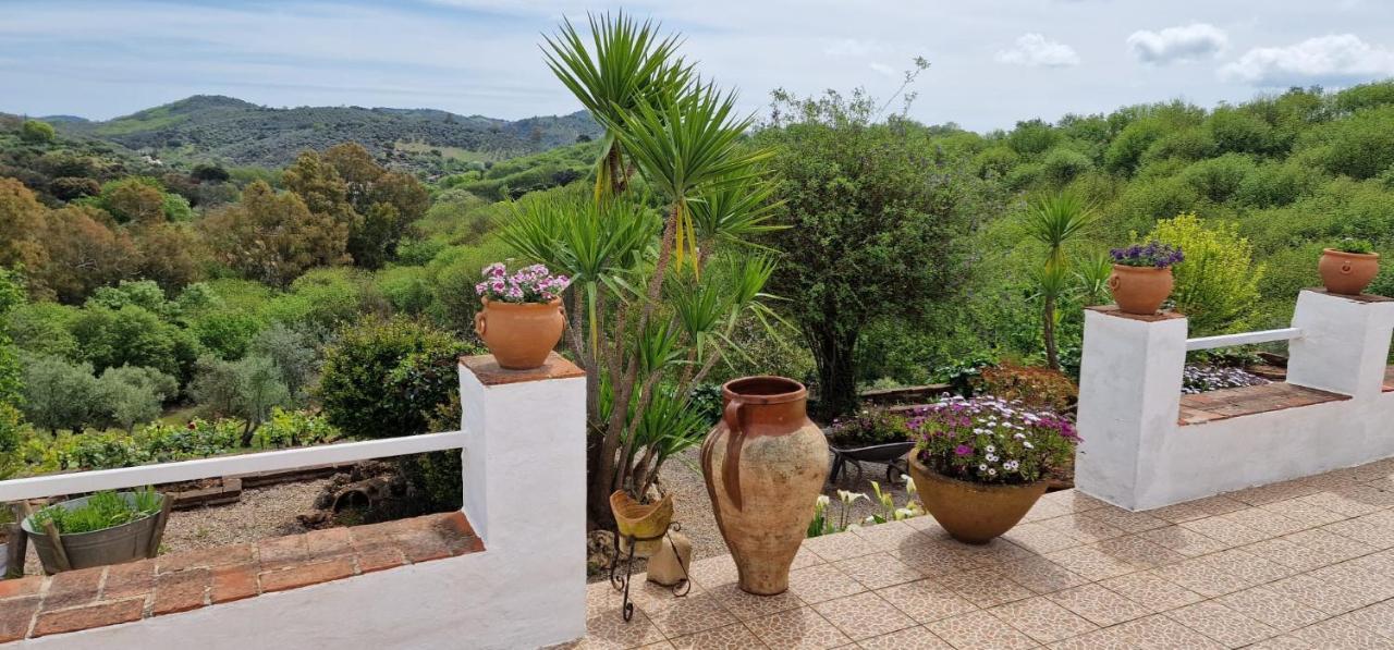 Villa Botero Constantina Dış mekan fotoğraf